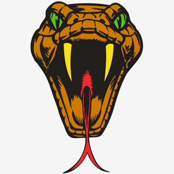 BAW SNAKE 05 RC Thumbnail