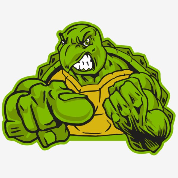 AR31 TURTLE 02 RQC Thumbnail