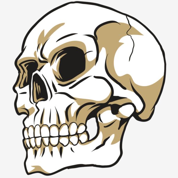 AR24 SKULL 08 RQC Thumbnail