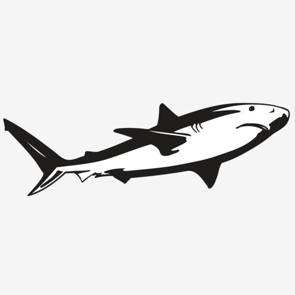 AR5 Shark 15 RQC Thumbnail