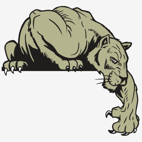 AR10 PANTHER 06 RQC Thumbnail