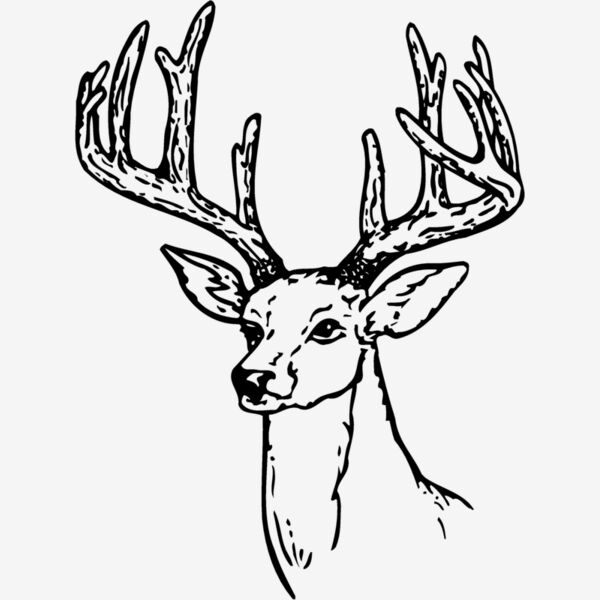 DEER009 Thumbnail