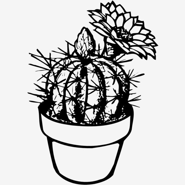 CACTUS01 Thumbnail